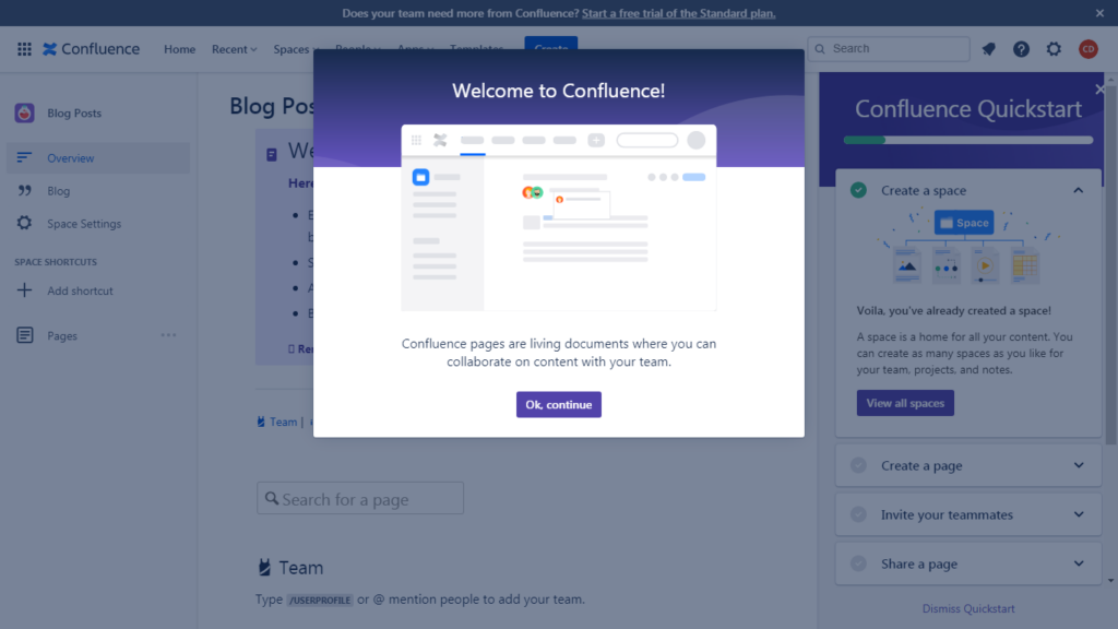 Screenshot of Atlassian Confluence after setup